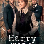 Harry Wild S05 (Episode 1 Added) | Tv Series